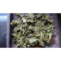 té verde extra de China 41022 para el mercado de Algeris por precio con lata de 250 g